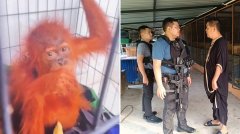 涉嫌贩卖从印尼走私到泰